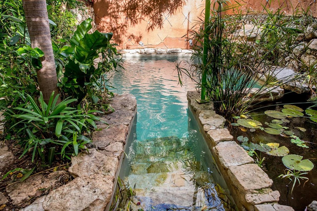 Pueblo Maya By Majikal B&B メリダ エクステリア 写真